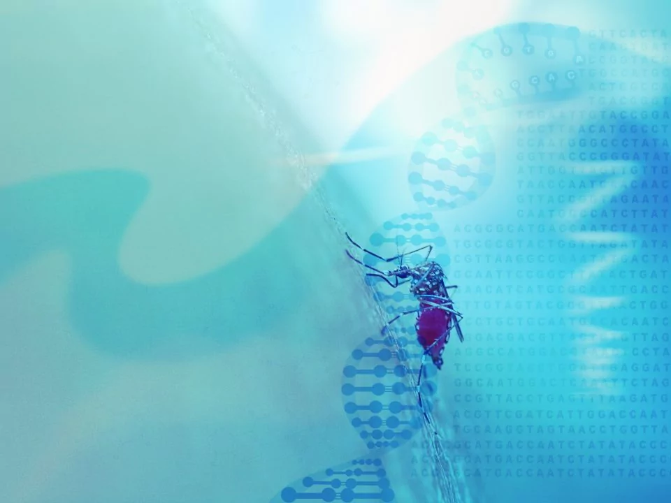 Abstrato base médico com hélice de DNA, código genético e mos