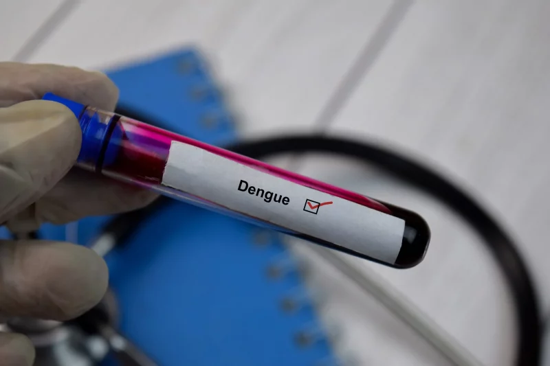Texto sobre dengue com amostra de sangue. Vista superior isolada em fundo preto. Conceito de saúde / médico